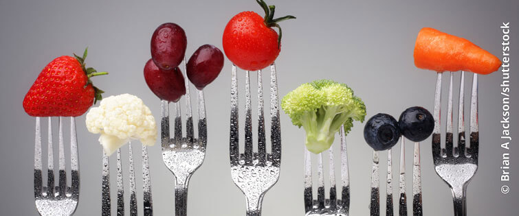 Schwerpunkt Ernährung  