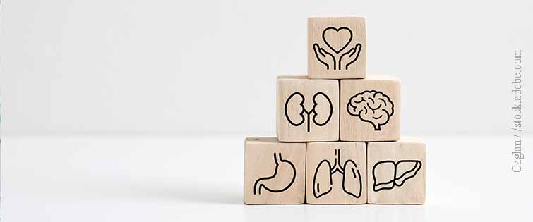 Pharmazeutische Betreuung von Organtransplantierten  